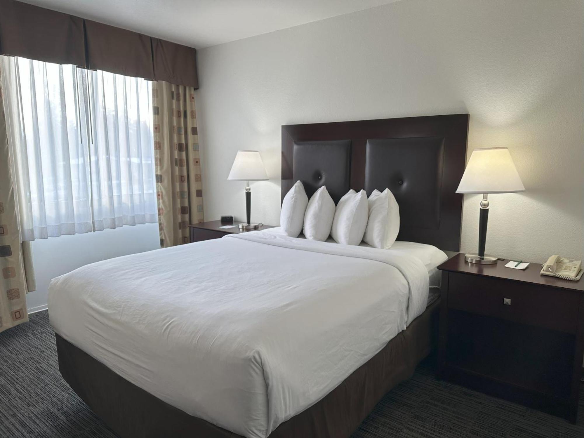 Quality Inn & Suites Everett Exteriör bild